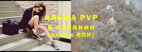 a pvp Бородино