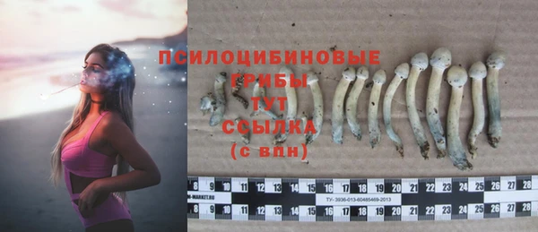 синтетический гашиш Бронницы