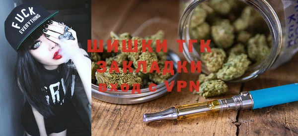 a pvp Бородино