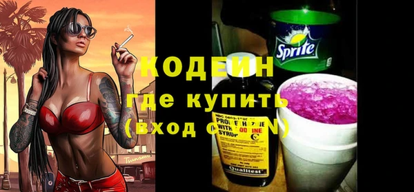 a pvp Бородино