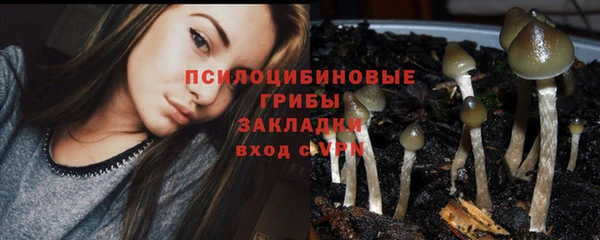 a pvp Бородино