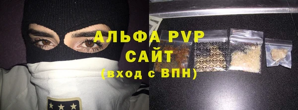 a pvp Бородино